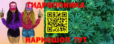 винт Дубна