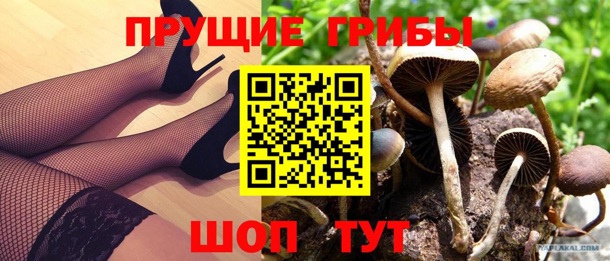 Михайловск  Галлюциногенные грибы ЛСД  Вход с VPN 