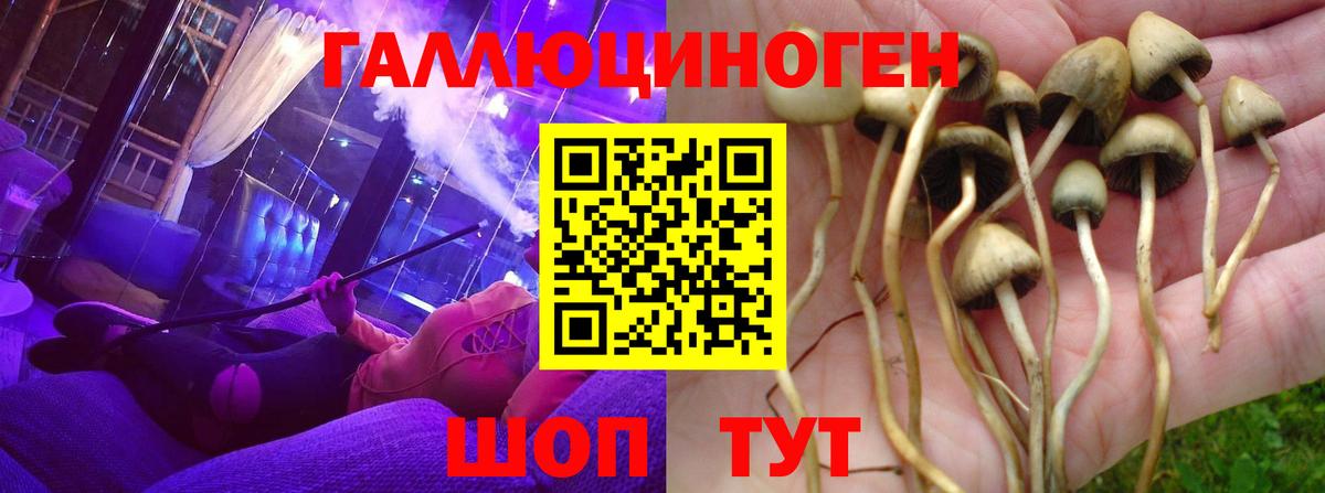 Псилоцибиновые грибы ЛСД Михайловск